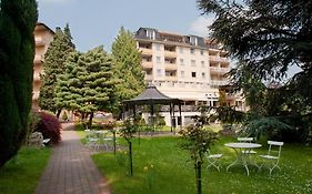 Parkhotel am Taunus